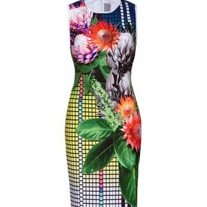 ISO Clover Canyon Pixel Petals!!